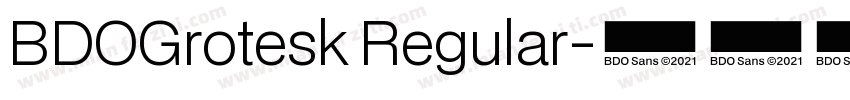 BDOGrotesk Regular字体转换